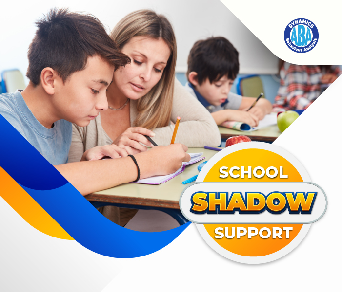 School Shadow Support