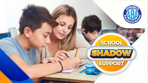 School Shadow Support